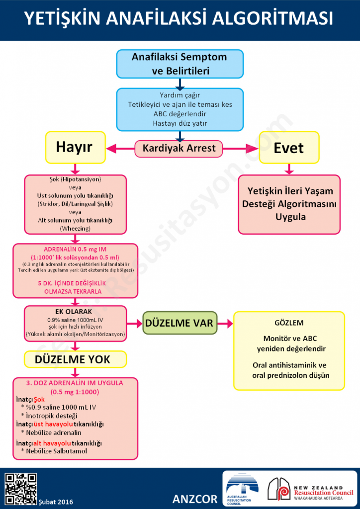 ANZCOR 2016 Yetişkin anafilaksi algoritması Türkçe