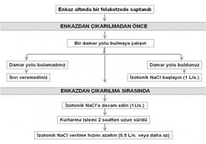 Resim1