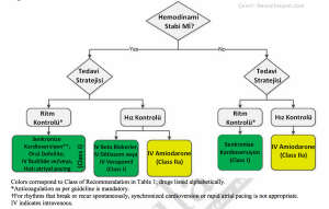 AHA-2015-Akut-Atrial-Flutter-Tedavi-Algoritmasi