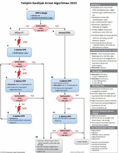 Yetiskin Kardiyak Arrest Algoritmasi-2015              